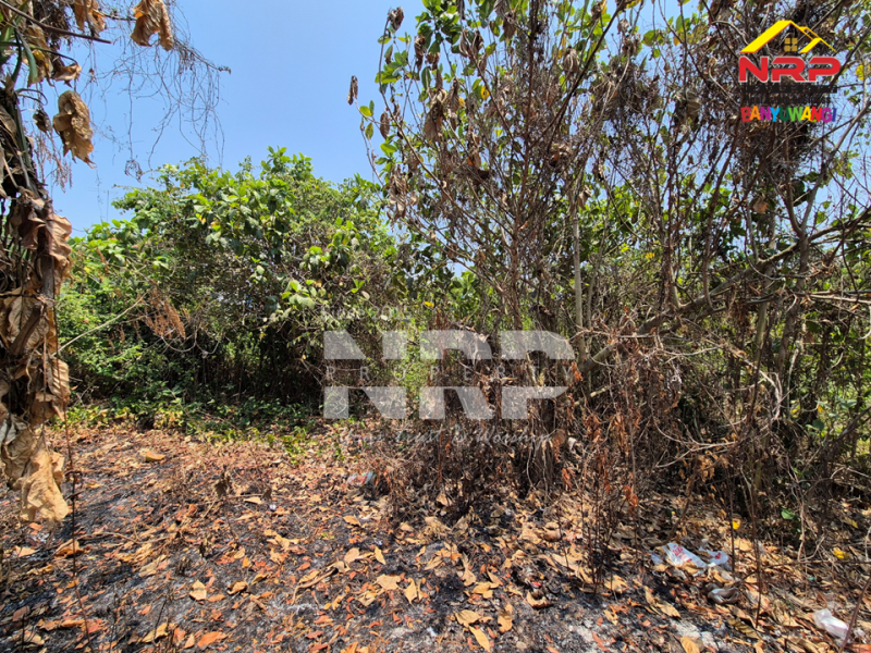 Dijual Tanah Luas di Rogojampi - Banyuwangi  Dijual Tanah Luas di Rogojampi - Banyuwangi  Dijual Tanah Luas di Rogojampi - Banyuwangi&nbsp;
Dekat Kawasan Bisnis dan Pertokoan Pasar Rogojampi
Dekat dengan Poltek Banyuwangi&nbsp;
Sangat cocok untuk NRP BANYUWANGI