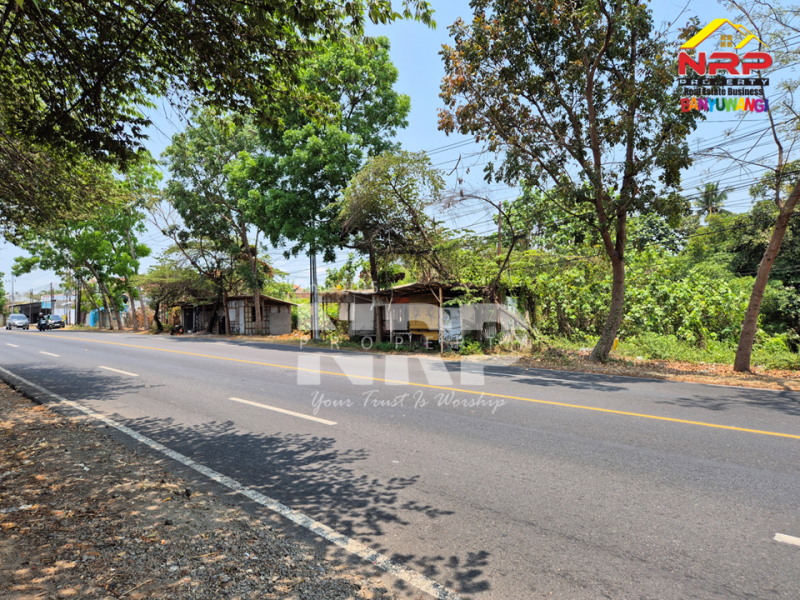 Dijual Tanah Luas di Rogojampi - Banyuwangi  Dijual Tanah Luas di Rogojampi - Banyuwangi  Dijual Tanah Luas di Rogojampi - Banyuwangi&nbsp;
Dekat Kawasan Bisnis dan Pertokoan Pasar Rogojampi
Dekat dengan Poltek Banyuwangi&nbsp;
Sangat cocok untuk NRP BANYUWANGI