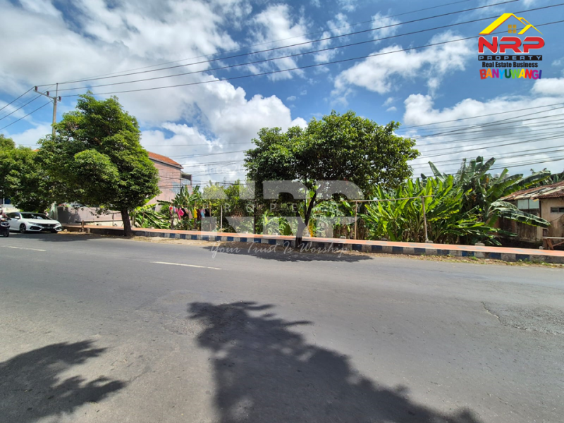 Dijual Tanah Luas di Tepi Jl. Kolonel  Sugiono - Banyuwangi Dijual Tanah Luas di Tepi Jl. Kolonel  Sugiono - Banyuwangi Dijual Tanah Luas di Tepi Jl. Kolonel&nbsp; Sugiono - Banyuwangi
Terletak di Area Bisnis Aktif
Cocok untuk kantor, supermarket, toko, Depo atau ruang usaha NRP BANYUWANGI