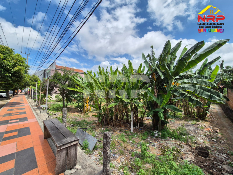 Dijual Tanah Luas di Tepi Jl. Kolonel  Sugiono - Banyuwangi Dijual Tanah Luas di Tepi Jl. Kolonel  Sugiono - Banyuwangi Dijual Tanah Luas di Tepi Jl. Kolonel&nbsp; Sugiono - Banyuwangi
Terletak di Area Bisnis Aktif
Cocok untuk kantor, supermarket, toko, Depo atau ruang usaha NRP BANYUWANGI