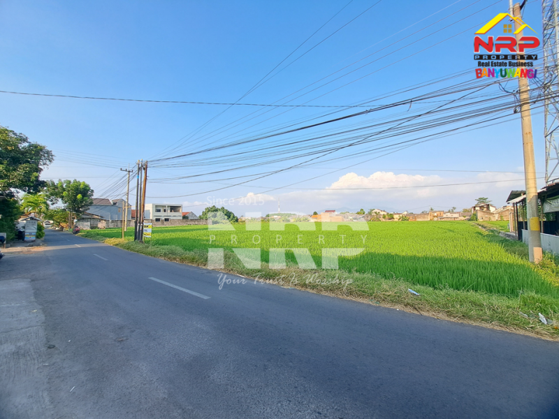 Dijual Tanah Luas Karangrejo - Banyuwangi  Dijual Tanah Luas Karangrejo - Banyuwangi  Dijual Tanah Luas Karangrejo - Banyuwangi&nbsp;
Cocok untuk pengembangan kawasan perumahan, industri atau gudang.&nbsp;

Luas Tanah 9.845 NRP BANYUWANGI