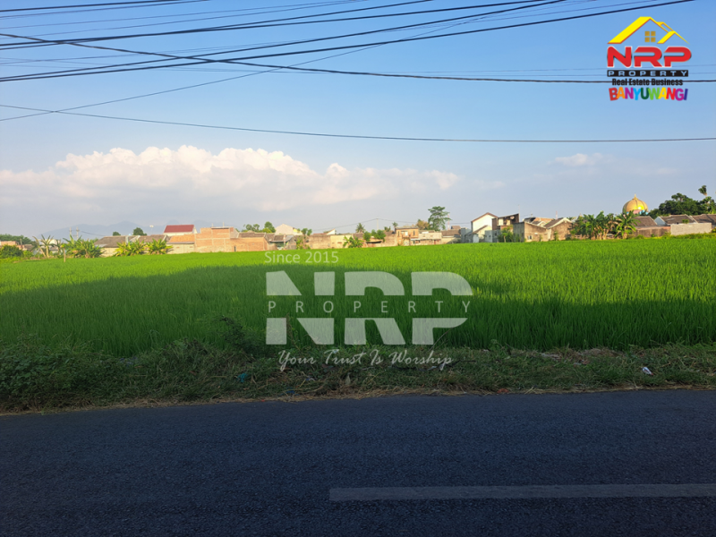 Dijual Tanah Luas Karangrejo - Banyuwangi  Dijual Tanah Luas Karangrejo - Banyuwangi  Dijual Tanah Luas Karangrejo - Banyuwangi&nbsp;
Cocok untuk pengembangan kawasan perumahan, industri atau gudang.&nbsp;

Luas Tanah 9.845 NRP BANYUWANGI