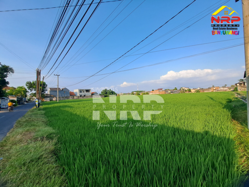 Dijual Tanah Luas Karangrejo - Banyuwangi  Dijual Tanah Luas Karangrejo - Banyuwangi  Dijual Tanah Luas Karangrejo - Banyuwangi&nbsp;
Cocok untuk pengembangan kawasan perumahan, industri atau gudang.&nbsp;

Luas Tanah 9.845 NRP BANYUWANGI