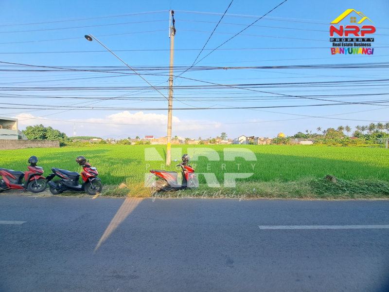 Dijual Tanah Luas Karangrejo - Banyuwangi  Dijual Tanah Luas Karangrejo - Banyuwangi  Dijual Tanah Luas Karangrejo - Banyuwangi&nbsp;
Cocok untuk pengembangan kawasan perumahan, industri atau gudang.&nbsp;

Luas Tanah 9.845 NRP BANYUWANGI