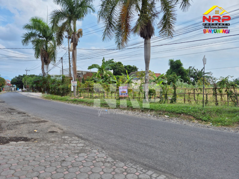 Dijual Tanah Luas Prospek Jl. Jembrana, Klatak - Banyuwangi Dijual Tanah Luas Prospek Jl. Jembrana, Klatak - Banyuwangi Dijual Tanah Luas Prospek Jl. Jembrana, Klatak - Banyuwangi
Lokasi Sangat Strategis berada di kawasan&nbsp; perumahan.&nbsp;
Dekat dengan Kawasan Hotel dan NRP BANYUWANGI
