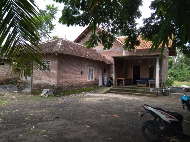 Dijual Tanah Luas + Rumah Murah di Yosomulyo Jajag Banyuwangi Dijual Tanah Luas + Rumah Murah di Yosomulyo Jajag Banyuwangi Dijual Tanah Luas + Rumah Murah di Yosomulyo Jajag Banyuwangi.

Cocok Untuk Hunian. Perkebunan. Lokasi Padat Penduduk . Akses jalan lebar.

Fasilitas : 2 NRP BANYUWANGI