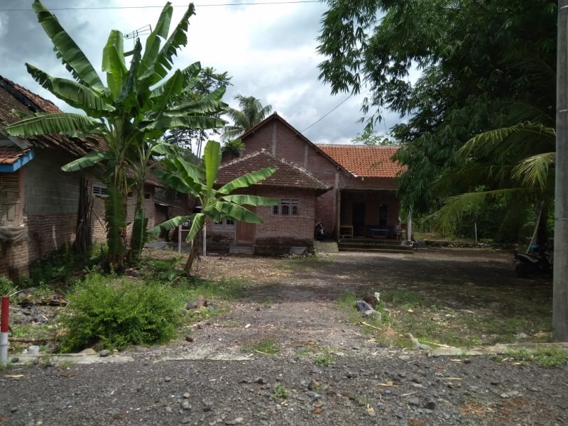 Dijual Tanah Luas + Rumah Murah di Yosomulyo Jajag Banyuwangi Dijual Tanah Luas + Rumah Murah di Yosomulyo Jajag Banyuwangi Dijual Tanah Luas + Rumah Murah di Yosomulyo Jajag Banyuwangi.

Cocok Untuk Hunian. Perkebunan. Lokasi Padat Penduduk . Akses jalan lebar.

Fasilitas : 2 NRP BANYUWANGI