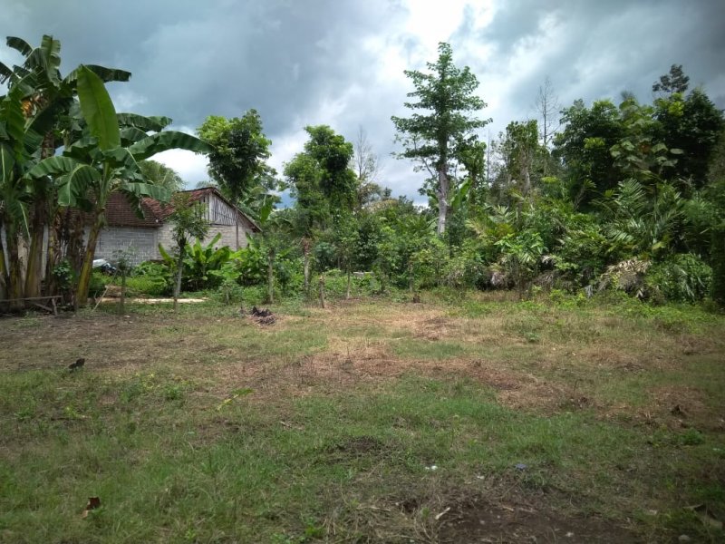 Dijual Tanah Luas + Rumah Murah di Yosomulyo Jajag Banyuwangi Dijual Tanah Luas + Rumah Murah di Yosomulyo Jajag Banyuwangi Dijual Tanah Luas + Rumah Murah di Yosomulyo Jajag Banyuwangi.

Cocok Untuk Hunian. Perkebunan. Lokasi Padat Penduduk . Akses jalan lebar.

Fasilitas : 2 NRP BANYUWANGI