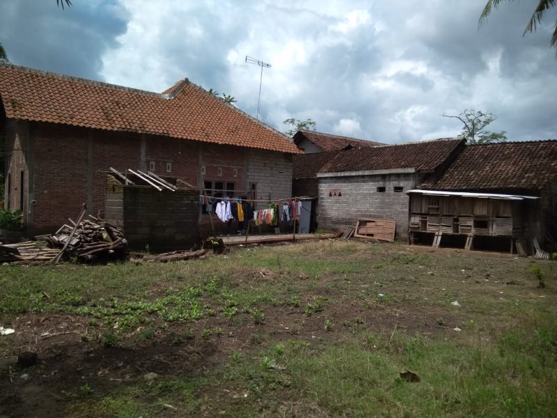 Dijual Tanah Luas + Rumah Murah di Yosomulyo Jajag Banyuwangi Dijual Tanah Luas + Rumah Murah di Yosomulyo Jajag Banyuwangi Dijual Tanah Luas + Rumah Murah di Yosomulyo Jajag Banyuwangi.

Cocok Untuk Hunian. Perkebunan. Lokasi Padat Penduduk . Akses jalan lebar.

Fasilitas : 2 NRP BANYUWANGI