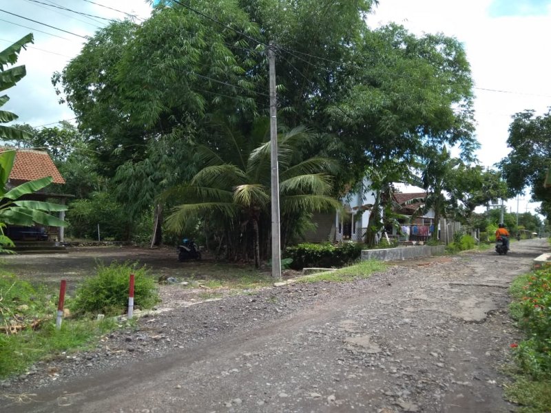 Dijual Tanah Luas + Rumah Murah di Yosomulyo Jajag Banyuwangi Dijual Tanah Luas + Rumah Murah di Yosomulyo Jajag Banyuwangi Dijual Tanah Luas + Rumah Murah di Yosomulyo Jajag Banyuwangi.

Cocok Untuk Hunian. Perkebunan. Lokasi Padat Penduduk . Akses jalan lebar.

Fasilitas : 2 NRP BANYUWANGI