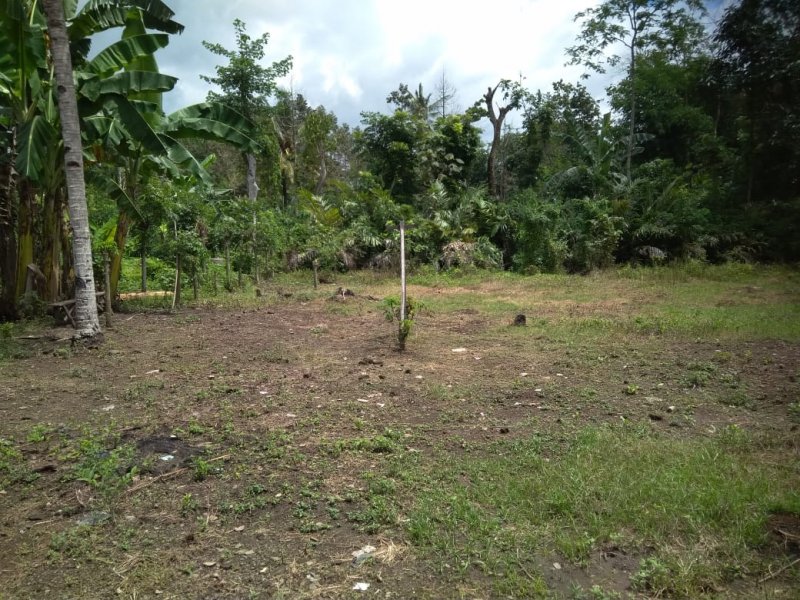 Dijual Tanah Luas + Rumah Murah di Yosomulyo Jajag Banyuwangi Dijual Tanah Luas + Rumah Murah di Yosomulyo Jajag Banyuwangi Dijual Tanah Luas + Rumah Murah di Yosomulyo Jajag Banyuwangi.

Cocok Untuk Hunian. Perkebunan. Lokasi Padat Penduduk . Akses jalan lebar.

Fasilitas : 2 NRP BANYUWANGI