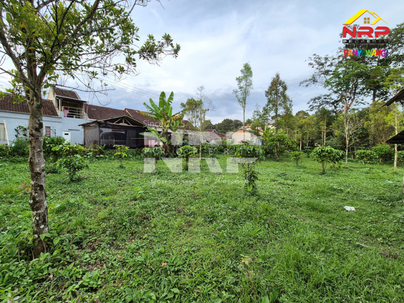Dijual Tanah luas, udara sejuk, jauh dari hiruk pikuk kota Songgon - Banyuwangi  Dijual Tanah luas, udara sejuk, jauh dari hiruk pikuk kota songgon banyuwangi  Dijual Tanah luas, udara sejuk, jauh dari hiruk pikuk kota ????
Terletak di Songgon, Banyuwangi. Cocok buat kebun, sawah, atau investasi masa depan.

Luas NRP BANYUWANGI