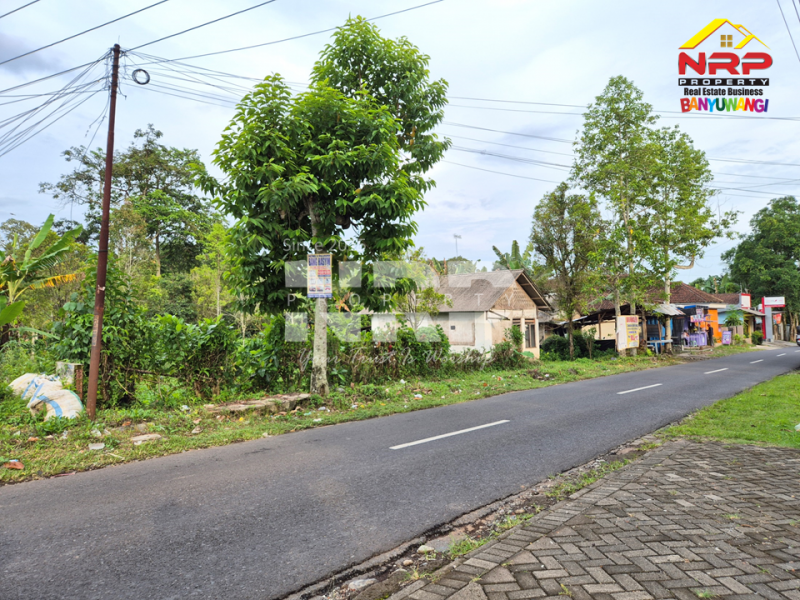 Dijual Tanah luas, udara sejuk, jauh dari hiruk pikuk kota Songgon - Banyuwangi  Dijual Tanah luas, udara sejuk, jauh dari hiruk pikuk kota songgon banyuwangi  Dijual Tanah luas, udara sejuk, jauh dari hiruk pikuk kota ????
Terletak di Songgon, Banyuwangi. Cocok buat kebun, sawah, atau investasi masa depan.

Luas NRP BANYUWANGI
