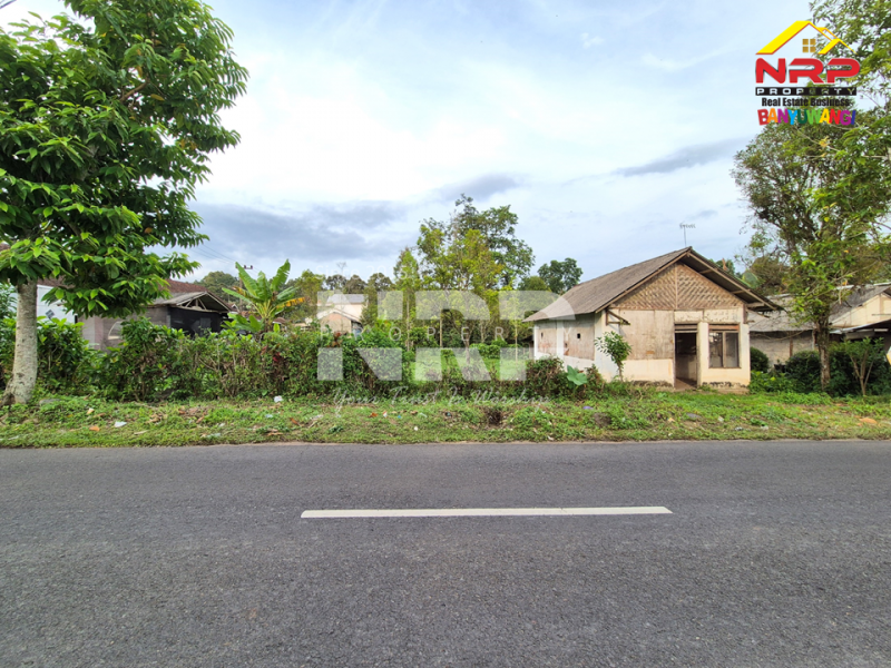 Dijual Tanah luas, udara sejuk, jauh dari hiruk pikuk kota Songgon - Banyuwangi  Dijual Tanah luas, udara sejuk, jauh dari hiruk pikuk kota songgon banyuwangi  Dijual Tanah luas, udara sejuk, jauh dari hiruk pikuk kota ????
Terletak di Songgon, Banyuwangi. Cocok buat kebun, sawah, atau investasi masa depan.

Luas NRP BANYUWANGI