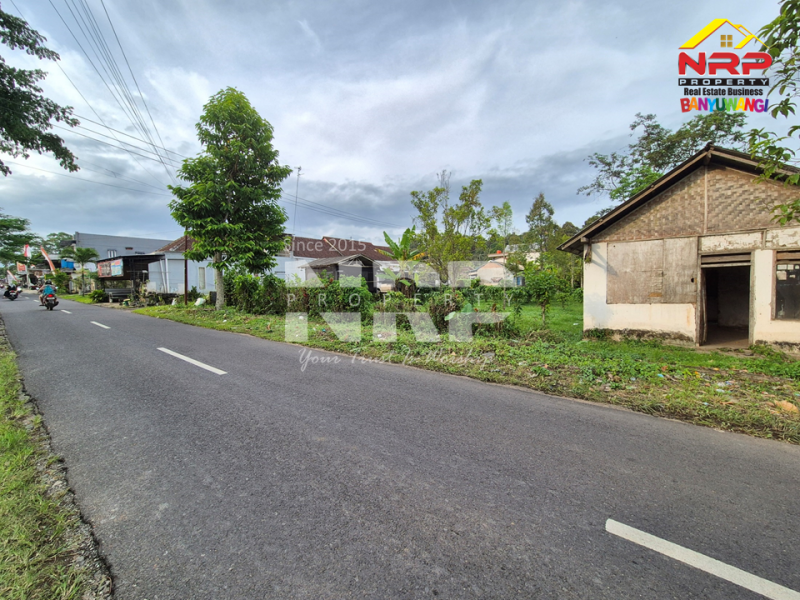 Dijual Tanah luas, udara sejuk, jauh dari hiruk pikuk kota Songgon - Banyuwangi  Dijual Tanah luas, udara sejuk, jauh dari hiruk pikuk kota songgon banyuwangi  Dijual Tanah luas, udara sejuk, jauh dari hiruk pikuk kota ????
Terletak di Songgon, Banyuwangi. Cocok buat kebun, sawah, atau investasi masa depan.

Luas NRP BANYUWANGI