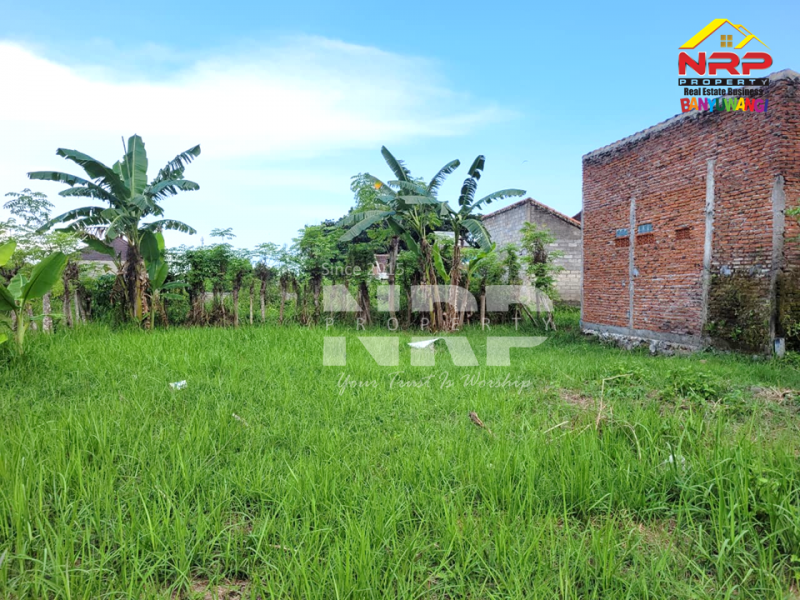 Dijual Tanah Murah 1 Jutaan Per Meter di Singotrunan - Banyuwangi  Dijual Tanah Murah 1 Jutaan Per Meter di Singotrunan - Banyuwangi  Dijual Tanah Murah 1 Jutaan Per Meter di Singotrunan - Banyuwangi&nbsp;
Dekat dengan Sekolah, 5 Menit dari Pusat Bisnis Jl. Basuki Rahmat
Akses Jln. NRP BANYUWANGI