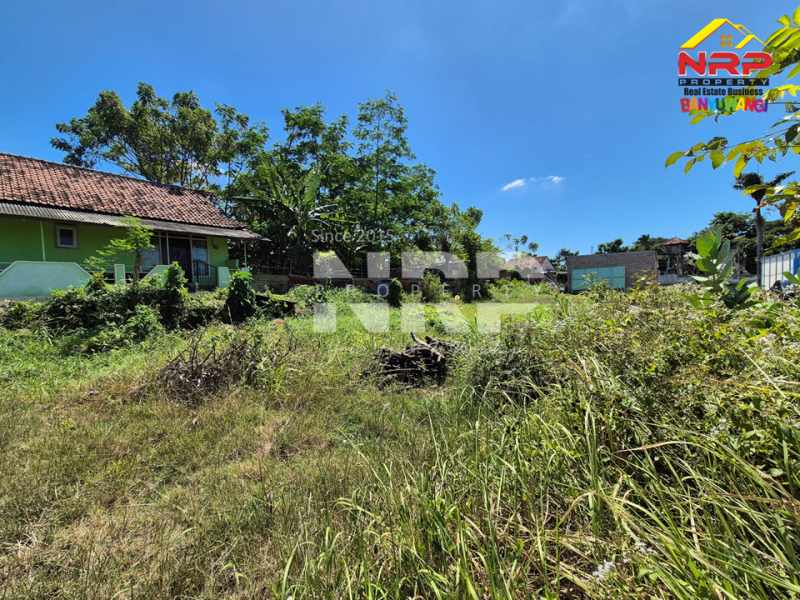 Dijual Tanah Murah 100 Jutaan di Dekat SMPN 3 Banyuwangi  Dijual Tanah Murah 100 Jutaan di Dekat SMPN 3 Banyuwangi  Dijual Tanah Murah 100 Jutaan di Dekat SMPN &nbsp;Banyuwangi&nbsp;
Dekat dengan Sekolah, 5 Menit dari Pusat Bisnis Jl. Basuki Rahmat
Akses Jln. NRP BANYUWANGI