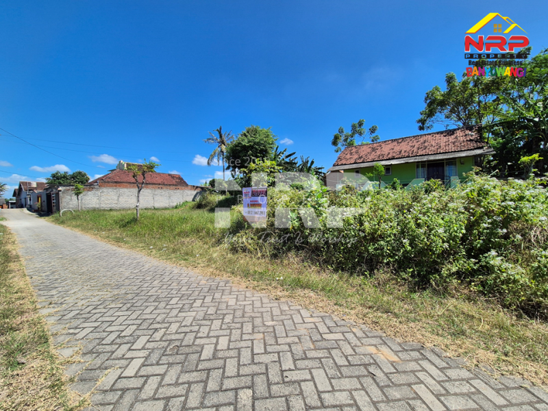 Dijual Tanah Murah 100 Jutaan di Dekat SMPN 3 Banyuwangi  Dijual Tanah Murah 100 Jutaan di Dekat SMPN 3 Banyuwangi  Dijual Tanah Murah 100 Jutaan di Dekat SMPN &nbsp;Banyuwangi&nbsp;
Dekat dengan Sekolah, 5 Menit dari Pusat Bisnis Jl. Basuki Rahmat
Akses Jln. NRP BANYUWANGI