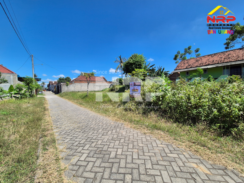 Dijual Tanah Murah 100 Jutaan di Dekat SMPN 3 Banyuwangi  Dijual Tanah Murah 100 Jutaan di Dekat SMPN 3 Banyuwangi  Dijual Tanah Murah 100 Jutaan di Dekat SMPN &nbsp;Banyuwangi&nbsp;
Dekat dengan Sekolah, 5 Menit dari Pusat Bisnis Jl. Basuki Rahmat
Akses Jln. NRP BANYUWANGI