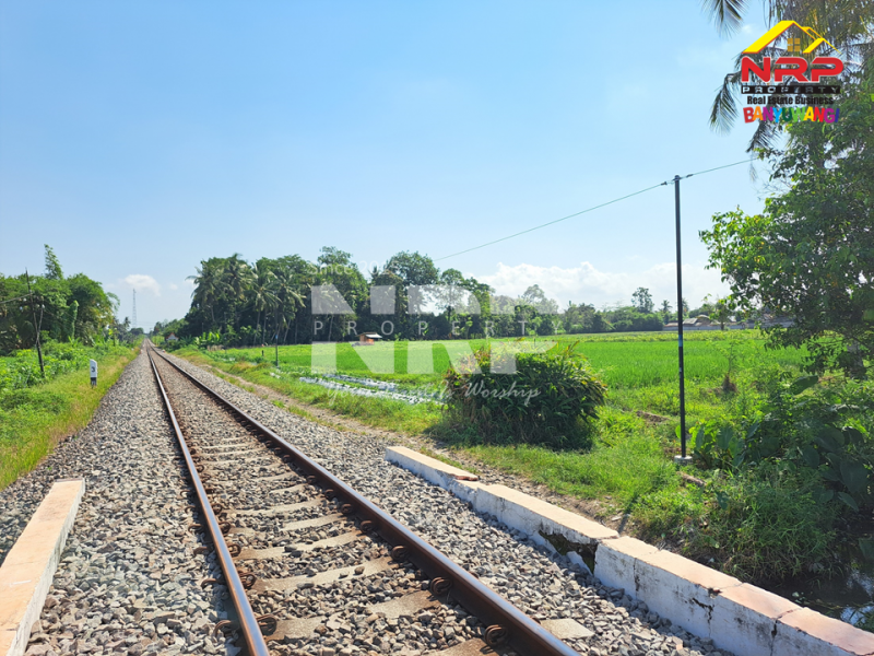Dijual Tanah Murah 100 Jutaan di Gitik - Rogojampi  Dijual Tanah Murah 100 Jutaan di Gitik - Rogojampi  Dijual Tanah Murah 100 Jutaan di Gitik - Rogojampi&nbsp;
Tepi rel kereta api, cocok banget untuk usaha pertanian, atau&nbsp; coffe shop, resto tepi sawah NRP BANYUWANGI