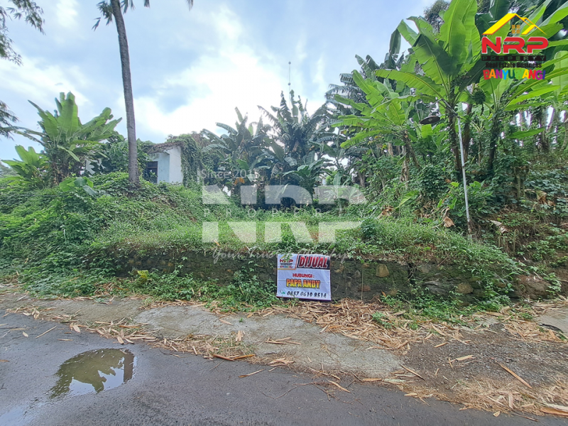 Dijual Tanah Murah 100 Jutaan di Kalirejo - Banyuwangi  Dijual Tanah Murah 100 Jutaan di Kalirejo - Banyuwangi  Dijual Tanah Murah 100 Jutaan di Kalirejo - Banyuwangi&nbsp;
300 meter dari RSI Fatimah Banyuwangi&nbsp;
Cocok untuk investasi jangka panjang atau untuk NRP BANYUWANGI