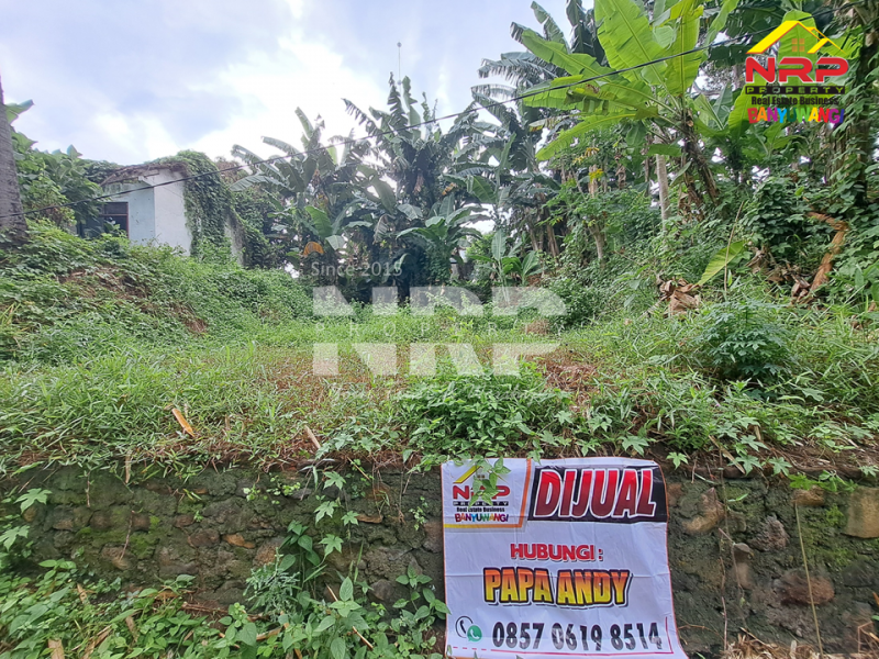 Dijual Tanah Murah 100 Jutaan di Kalirejo - Banyuwangi  Dijual Tanah Murah 100 Jutaan di Kalirejo - Banyuwangi  Dijual Tanah Murah 100 Jutaan di Kalirejo - Banyuwangi&nbsp;
300 meter dari RSI Fatimah Banyuwangi&nbsp;
Cocok untuk investasi jangka panjang atau untuk NRP BANYUWANGI