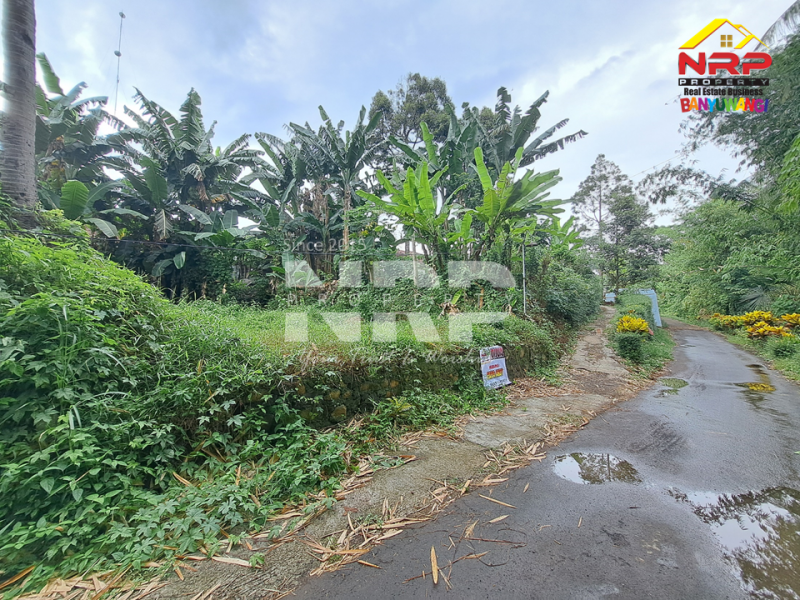 Dijual Tanah Murah 100 Jutaan di Kalirejo - Banyuwangi  Dijual Tanah Murah 100 Jutaan di Kalirejo - Banyuwangi  Dijual Tanah Murah 100 Jutaan di Kalirejo - Banyuwangi&nbsp;
300 meter dari RSI Fatimah Banyuwangi&nbsp;
Cocok untuk investasi jangka panjang atau untuk NRP BANYUWANGI
