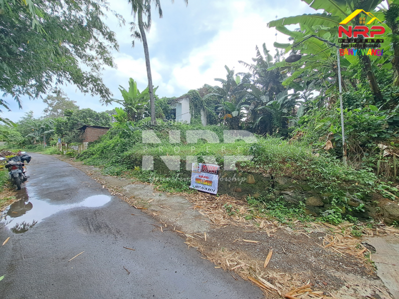 Dijual Tanah Murah 100 Jutaan di Kalirejo - Banyuwangi  Dijual Tanah Murah 100 Jutaan di Kalirejo - Banyuwangi  Dijual Tanah Murah 100 Jutaan di Kalirejo - Banyuwangi&nbsp;
300 meter dari RSI Fatimah Banyuwangi&nbsp;
Cocok untuk investasi jangka panjang atau untuk NRP BANYUWANGI