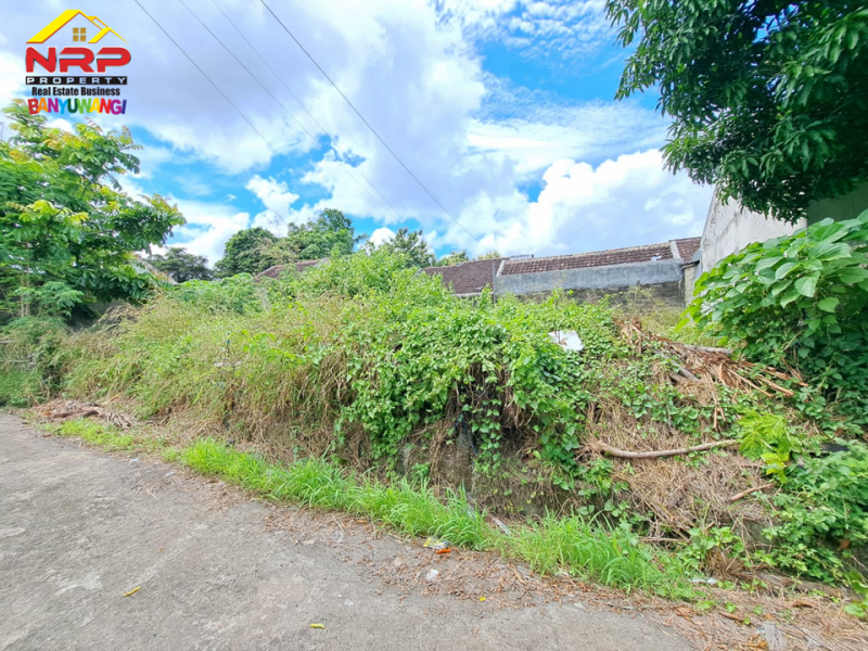 Dijual Tanah Murah 100 jutaan di Perum. Citra Garden Rogojampi Dijual Tanah Murah 100 jutaan di Perum. Citra Garden Rogojampi Dijual Tanah di Perum. Citra Garden Lemahbang
One get sistem area, Akse 0 Jl. Lemahbang Rogojampi&nbsp;
Sangat cocok untuk investasi maupun NRP BANYUWANGI