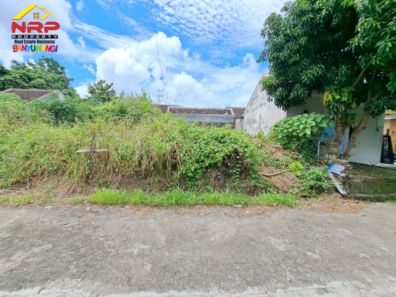 Dijual Tanah Murah 100 jutaan di Perum. Citra Garden Rogojampi Dijual Tanah Murah 100 jutaan di Perum. Citra Garden Rogojampi Dijual Tanah di Perum. Citra Garden Lemahbang
One get sistem area, Akse 0 Jl. Lemahbang Rogojampi&nbsp;
Sangat cocok untuk investasi maupun NRP BANYUWANGI