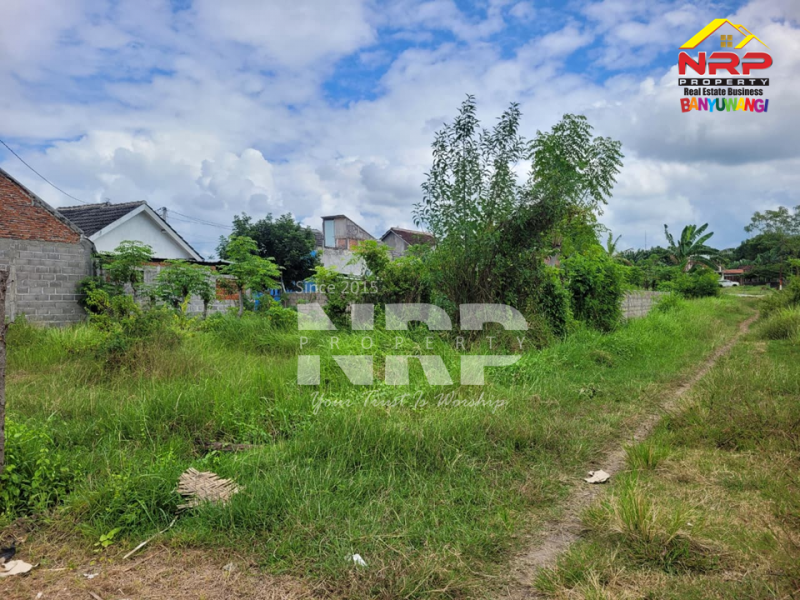 Dijual Tanah Murah 100 Jutaan di Singotrunan - Banyuwangi  Dijual Tanah Murah 100 Jutaan di Singotrunan - Banyuwangi  Dijual Tanah Murah 100 Jutaan di Singotrunan - Banyuwangi&nbsp;
Dekat dengan Pabrik PKBR, 5 Menit dari Pusat Bisnis Jl. Basuki Rahmat

Luas Tanah : 120 NRP BANYUWANGI