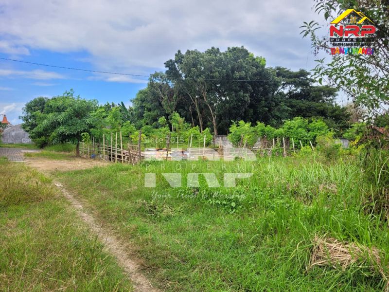 Dijual Tanah Murah 100 Jutaan di Singotrunan - Banyuwangi  Dijual Tanah Murah 100 Jutaan di Singotrunan - Banyuwangi  Dijual Tanah Murah 100 Jutaan di Singotrunan - Banyuwangi&nbsp;
Dekat dengan Pabrik PKBR, 5 Menit dari Pusat Bisnis Jl. Basuki Rahmat

Luas Tanah : 120 NRP BANYUWANGI