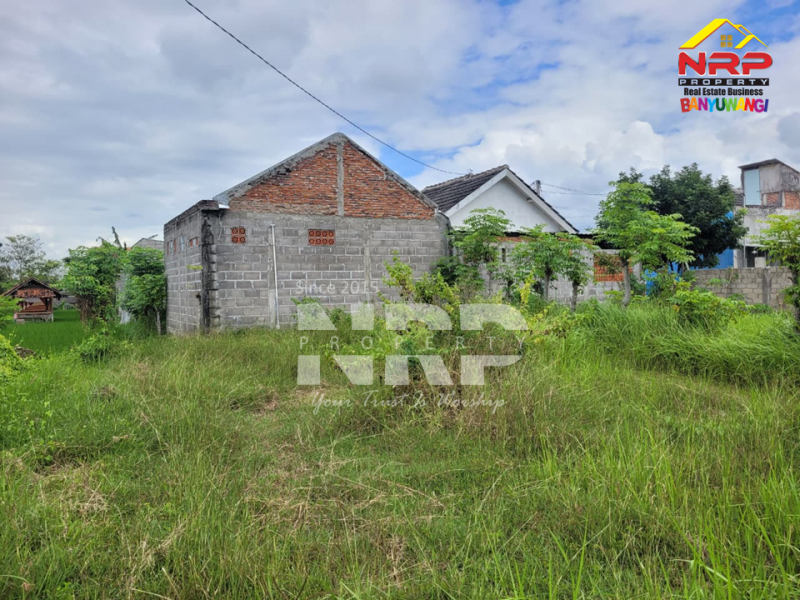 Dijual Tanah Murah 100 Jutaan di Singotrunan - Banyuwangi  Dijual Tanah Murah 100 Jutaan di Singotrunan - Banyuwangi  Dijual Tanah Murah 100 Jutaan di Singotrunan - Banyuwangi&nbsp;
Dekat dengan Pabrik PKBR, 5 Menit dari Pusat Bisnis Jl. Basuki Rahmat

Luas Tanah : 120 NRP BANYUWANGI