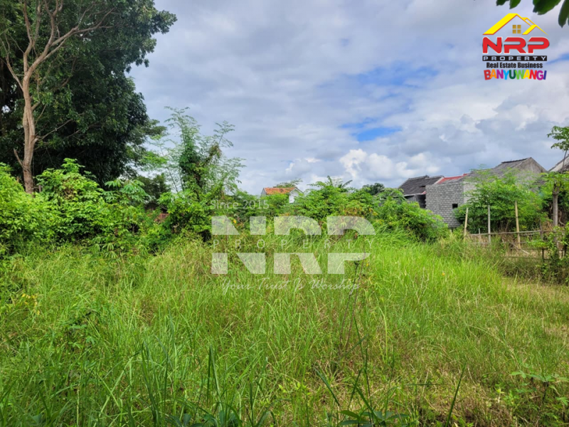 Dijual Tanah Murah 100 Jutaan di Singotrunan - Banyuwangi  Dijual Tanah Murah 100 Jutaan di Singotrunan - Banyuwangi  Dijual Tanah Murah 100 Jutaan di Singotrunan - Banyuwangi&nbsp;
Dekat dengan Pabrik PKBR, 5 Menit dari Pusat Bisnis Jl. Basuki Rahmat

Luas Tanah :+/- 132 NRP BANYUWANGI