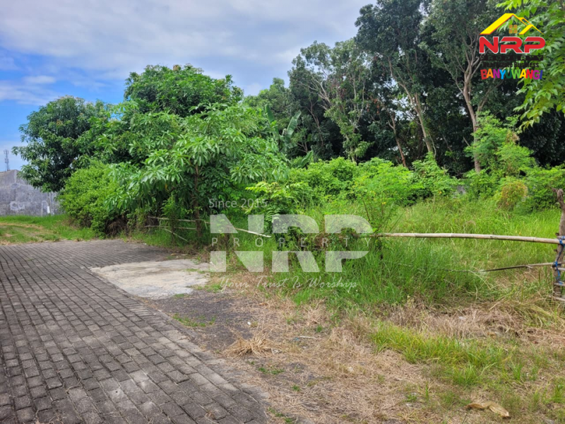 Dijual Tanah Murah 100 Jutaan di Singotrunan - Banyuwangi  Dijual Tanah Murah 100 Jutaan di Singotrunan - Banyuwangi  Dijual Tanah Murah 100 Jutaan di Singotrunan - Banyuwangi&nbsp;
Dekat dengan Pabrik PKBR, 5 Menit dari Pusat Bisnis Jl. Basuki Rahmat

Luas Tanah :+/- 132 NRP BANYUWANGI