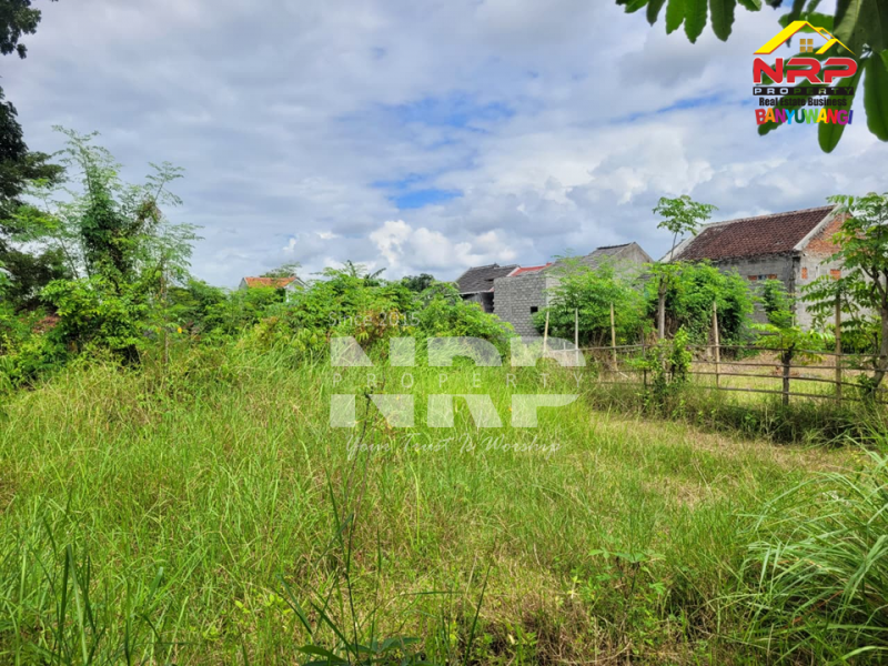 Dijual Tanah Murah 100 Jutaan di Singotrunan - Banyuwangi  Dijual Tanah Murah 100 Jutaan di Singotrunan - Banyuwangi  Dijual Tanah Murah 100 Jutaan di Singotrunan - Banyuwangi&nbsp;
Dekat dengan Pabrik PKBR, 5 Menit dari Pusat Bisnis Jl. Basuki Rahmat

Luas Tanah :+/- 132 NRP BANYUWANGI