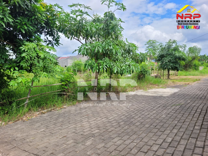 Dijual Tanah Murah 100 Jutaan di Singotrunan - Banyuwangi  Dijual Tanah Murah 100 Jutaan di Singotrunan - Banyuwangi  Dijual Tanah Murah 100 Jutaan di Singotrunan - Banyuwangi&nbsp;
Dekat dengan Pabrik PKBR, 5 Menit dari Pusat Bisnis Jl. Basuki Rahmat

Luas Tanah :+/- 132 NRP BANYUWANGI