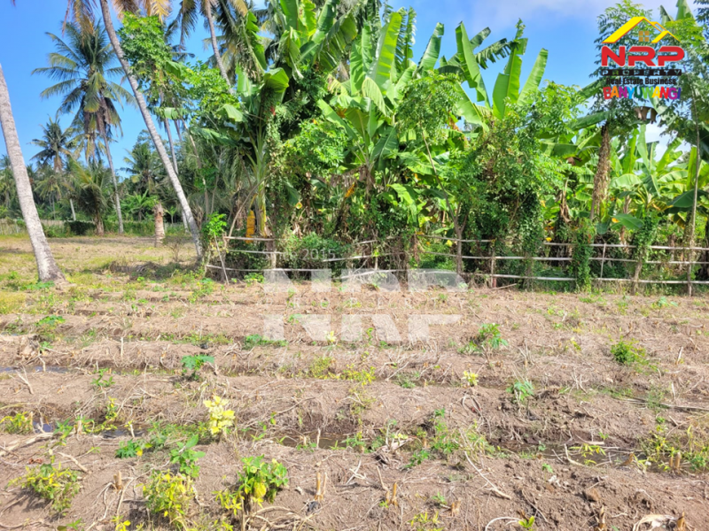 Dijual Tanah Murah 100 Jutaan di tepi Jl. Watukebo - Banyuwangi  Dijual Tanah Murah 100 Jutaan di tepi Jl. Watukebo - Banyuwangi  Dijual Tanah Murah 100 Jutaan di tepi Jl. Watukebo - Banyuwangi&nbsp;
Dekat dengan Bandara, Dekat dengan pemukiman warga, tanah datar siap NRP BANYUWANGI