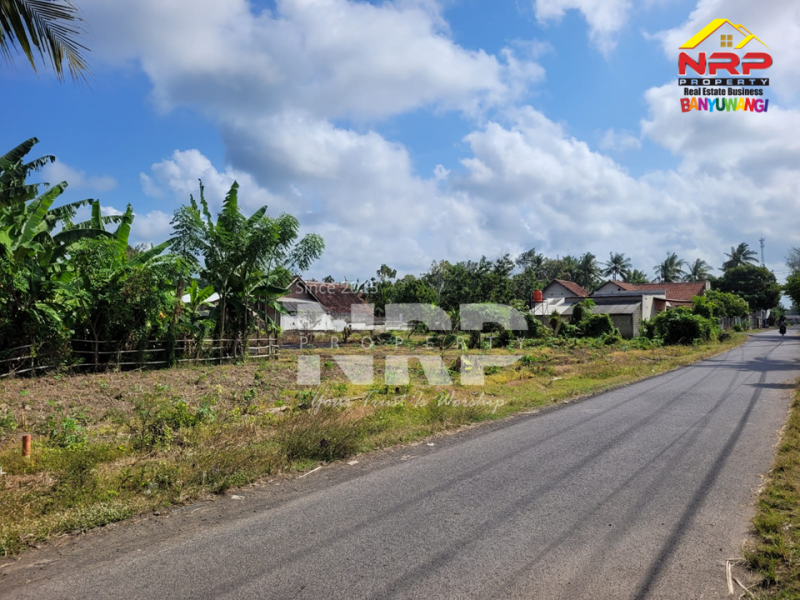 Dijual Tanah Murah 100 Jutaan di tepi Jl. Watukebo - Banyuwangi  Dijual Tanah Murah 100 Jutaan di tepi Jl. Watukebo - Banyuwangi  Dijual Tanah Murah 100 Jutaan di tepi Jl. Watukebo - Banyuwangi&nbsp;
Dekat dengan Bandara, Dekat dengan pemukiman warga, tanah datar siap NRP BANYUWANGI