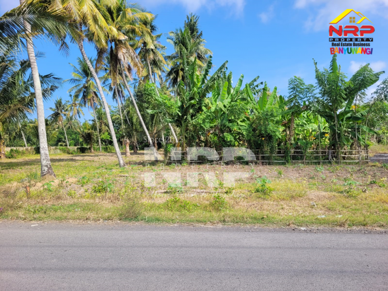 Dijual Tanah Murah 100 Jutaan di tepi Jl. Watukebo - Banyuwangi  Dijual Tanah Murah 100 Jutaan di tepi Jl. Watukebo - Banyuwangi  Dijual Tanah Murah 100 Jutaan di tepi Jl. Watukebo - Banyuwangi&nbsp;
Dekat dengan Bandara, Dekat dengan pemukiman warga, tanah datar siap NRP BANYUWANGI