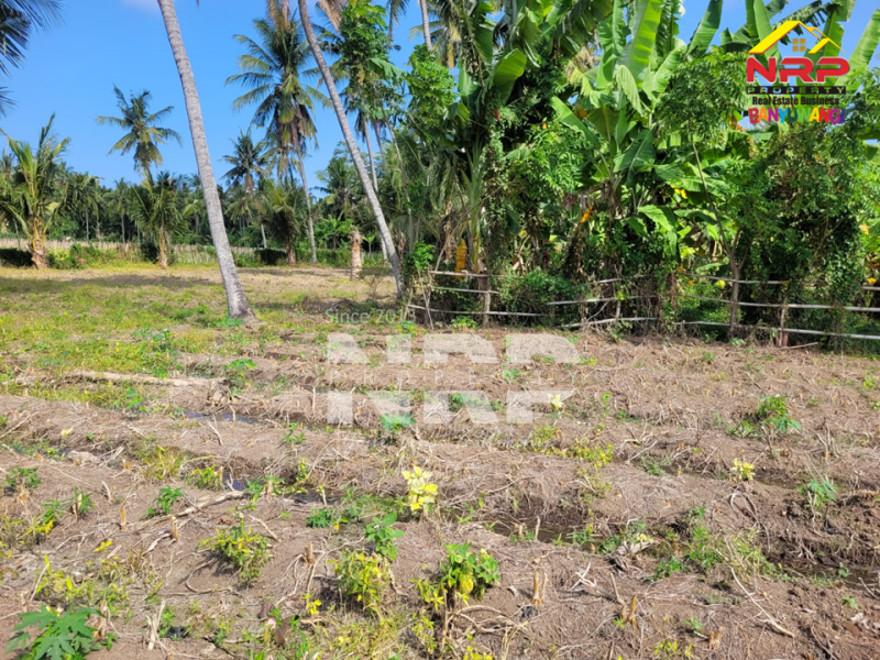 Dijual Tanah Murah 100 Jutaan di tepi Jl. Watukebo - Banyuwangi  Dijual Tanah Murah 100 Jutaan di tepi Jl. Watukebo - Banyuwangi  Dijual Tanah Murah 100 Jutaan di tepi Jl. Watukebo - Banyuwangi&nbsp;
Dekat dengan Bandara, Dekat dengan pemukiman warga, tanah datar siap NRP BANYUWANGI