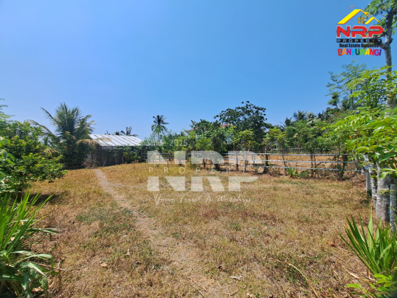 Dijual Tanah Murah 100 Jutaan Siap Bangun di Beran - Banyuwangi  Dijual Tanah Murah 100 Jutaan Siap Bangun di Beran - Banyuwangi  Dijual Tanah Murah 100 Jutaan Siap Bangun di Beran - Banyuwangi&nbsp;
Lokasi asri, suasana pedesaan, dekat dengan SDIT AL uswah Banyuwangi&nbsp;
Cocok untuk NRP BANYUWANGI