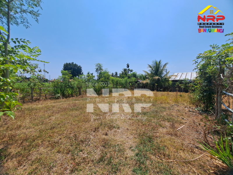 Dijual Tanah Murah 100 Jutaan Siap Bangun di Beran - Banyuwangi  Dijual Tanah Murah 100 Jutaan Siap Bangun di Beran - Banyuwangi  Dijual Tanah Murah 100 Jutaan Siap Bangun di Beran - Banyuwangi&nbsp;
Lokasi asri, suasana pedesaan, dekat dengan SDIT AL uswah Banyuwangi&nbsp;
Cocok untuk NRP BANYUWANGI