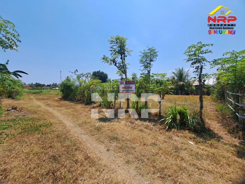 Dijual Tanah Murah 100 Jutaan Siap Bangun di Beran - Banyuwangi  Dijual Tanah Murah 100 Jutaan Siap Bangun di Beran - Banyuwangi  Dijual Tanah Murah 100 Jutaan Siap Bangun di Beran - Banyuwangi&nbsp;
Lokasi asri, suasana pedesaan, dekat dengan SDIT AL uswah Banyuwangi&nbsp;
Cocok untuk NRP BANYUWANGI