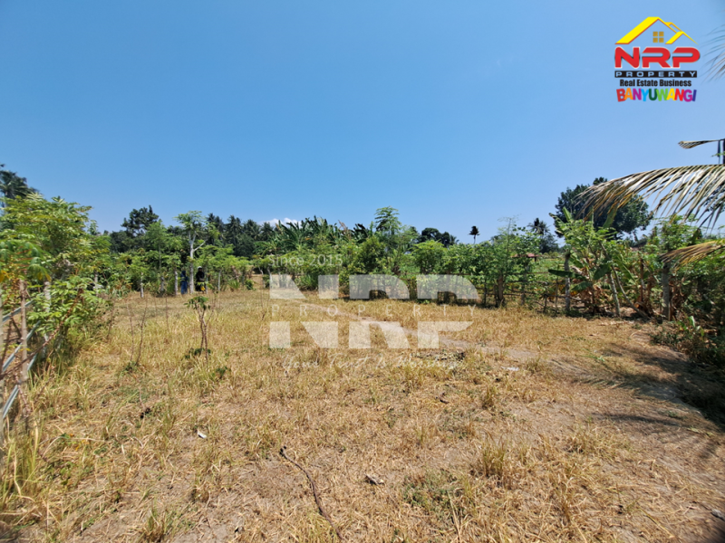 Dijual Tanah Murah 100 Jutaan Siap Bangun di Beran - Banyuwangi  Dijual Tanah Murah 100 Jutaan Siap Bangun di Beran - Banyuwangi  Dijual Tanah Murah 100 Jutaan Siap Bangun di Beran - Banyuwangi&nbsp;
Lokasi asri, suasana pedesaan, dekat dengan SDIT AL uswah Banyuwangi&nbsp;
Cocok untuk NRP BANYUWANGI