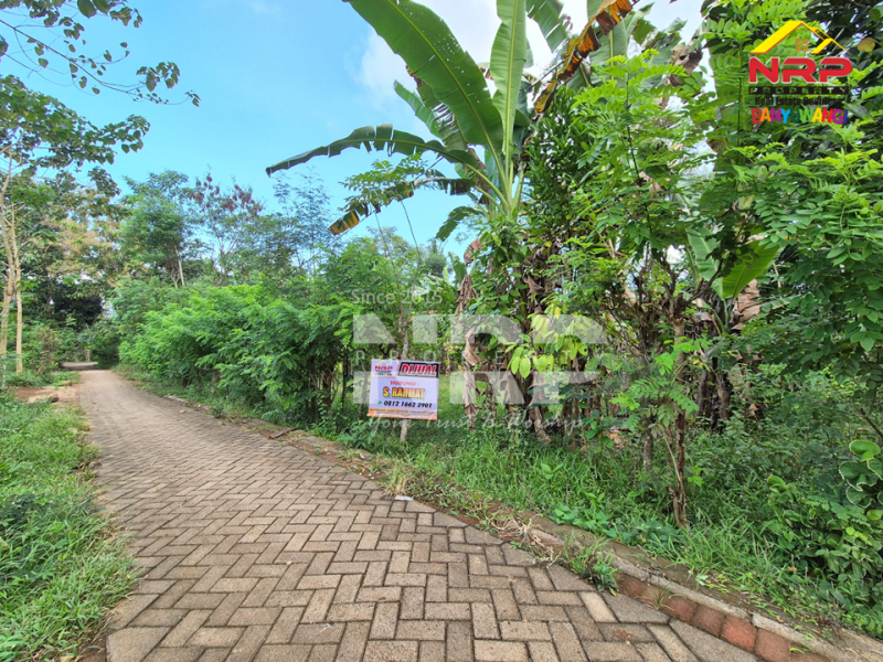 Dijual Tanah Murah 100 Jutaan Siap Bangun di Ketapang- Banyuwangi  Dijual Tanah Murah 100 Jutaan Siap Bangun di Ketapang- Banyuwangi  Dijual Tanah Murah 100 Jutaan Siap Bangun di Ketapang- Banyuwangi&nbsp;
Lokasi di lingkungan yang sedang berkembang. Dekat PT. INKA, Dekat dengan sumber mata NRP BANYUWANGI