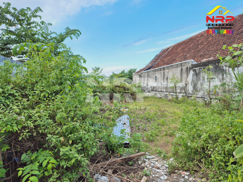 Dijual Tanah Murah 500 Meter dari Jl. Utama Rogojampi- Banyuwangi   Dijual Tanah Murah 500 Meter dari Jl. Utama Rogojampi- Banyuwangi   Dijual Tanah Murah 500 Meter dari Jl. Utama Rogojampi- Banyuwangi&nbsp;&nbsp;
Cocok untuk hunian atau ruang usaha.&nbsp; Dekat dengan Pusat Pendidikan dan NRP BANYUWANGI