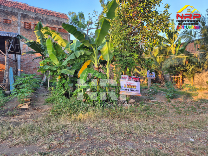 Dijual Tanah Murah Akses mudah 100 Jutaan di Kebalenan Banyuwangi  Dijual Tanah Murah Akses mudah 100 Jutaan di Kebalenan Banyuwangi  Dijual Tanah Murah Akses mudah 100 Jutaan di Kebalenan Banyuwangi&nbsp;
Lokasi sangat strategis dekat SMPN 2 Banyuwangi&nbsp;
Dekat dengan Pusat Bisnis dan NRP BANYUWANGI