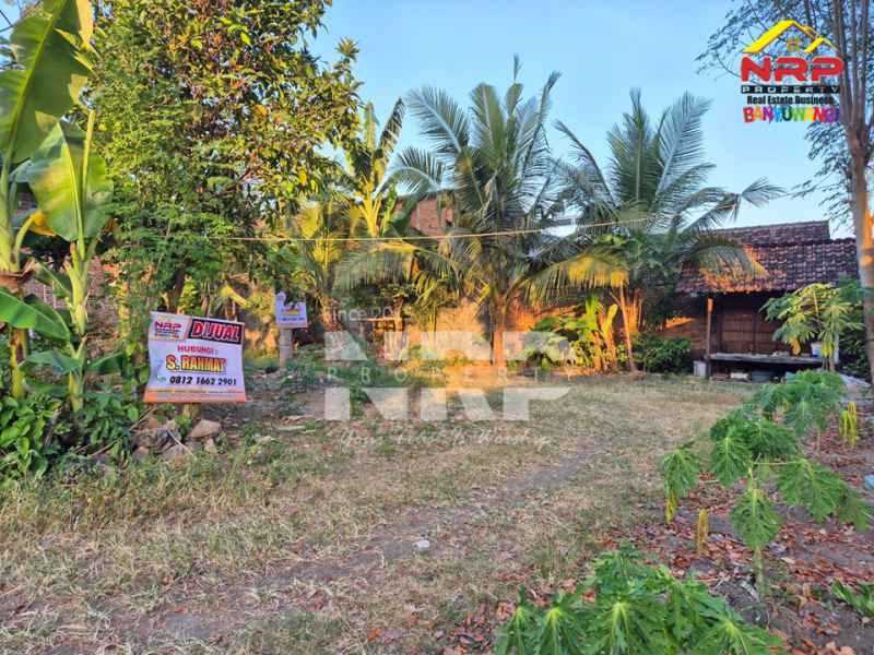 Dijual Tanah Murah Akses mudah 100 Jutaan di Kebalenan Banyuwangi  Dijual Tanah Murah Akses mudah 100 Jutaan di Kebalenan Banyuwangi  Dijual Tanah Murah Akses mudah 100 Jutaan di Kebalenan Banyuwangi&nbsp;
Lokasi sangat strategis dekat SMPN 2 Banyuwangi&nbsp;
Dekat dengan Pusat Bisnis dan NRP BANYUWANGI