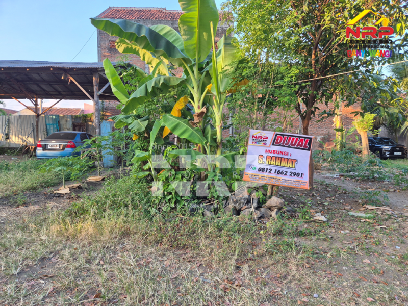 Dijual Tanah Murah Akses mudah 100 Jutaan di Kebalenan Banyuwangi  Dijual Tanah Murah Akses mudah 100 Jutaan di Kebalenan Banyuwangi  Dijual Tanah Murah Akses mudah 100 Jutaan di Kebalenan Banyuwangi&nbsp;
Lokasi sangat strategis dekat SMPN 2 Banyuwangi&nbsp;
Dekat dengan Pusat Bisnis dan NRP BANYUWANGI
